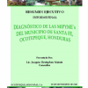 Informe final Diagnóstico de las Mipyme´s de Santa Fe Ocotepeque Honduras